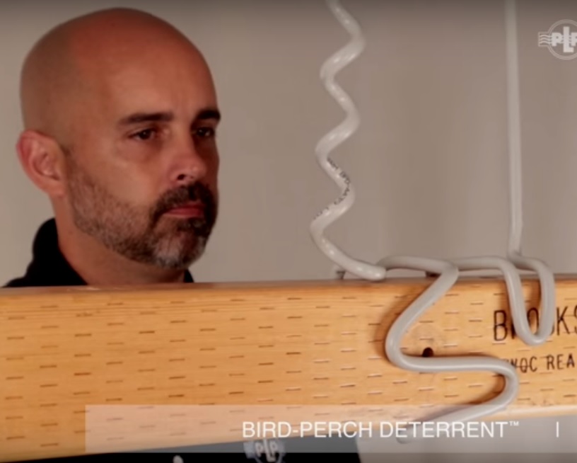 BIRD PERCH DETERRENT™ VIDEO A.P PLP do Brasil